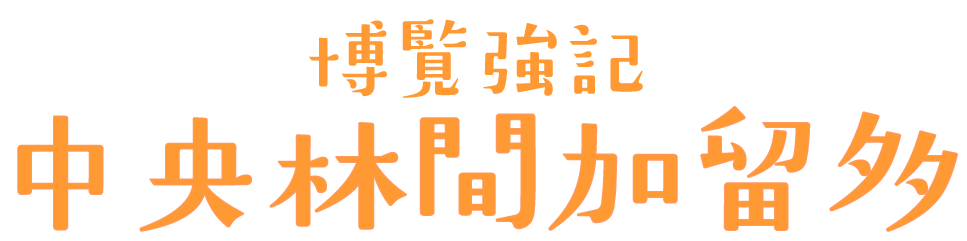 中央林間加留多